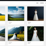 Photographer's Portfolio Showcase**

"A well-organized photographer's portfolio displayed on a modern website, featuring a variety of high-quality images: wedding, landscape, and portrait photography. Clean, minimalist design, easy navigation. Professional, bright lighting, elegant typography, 日本語 interface. safe for work, appropriate content, fully clothed, professional."

**